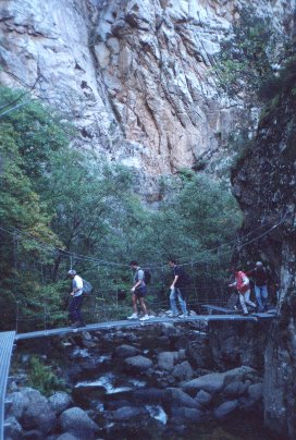 pont singe caranca.jpg (39428 octets)